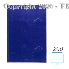 LIBRO DE ACTAS EMPASTADO RAYADO TAMAÑO A4 X 200 HJ - FERNELLY